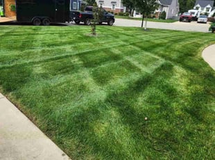 Mary R.'s turf care service result