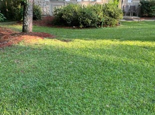 Cynthia P.'s turf care service result