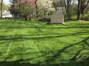 Ken C.'s turf maintenance service result