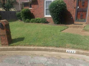 Bryan B.'s lawn care service result