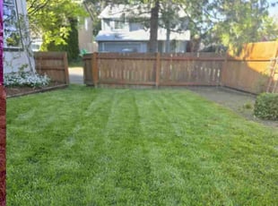 Courtney M.'s grass cutting service result
