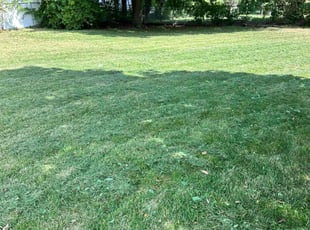 Ed M.'s lawn maintenance service result