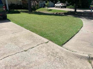 Terry D.'s lawn service service result