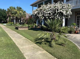Jermaine S.'s lawn service service result