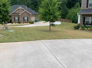 Jacqualine W.'s grass maintenance service result