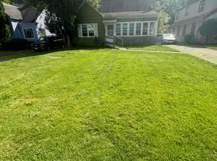 Anna E.'s lawn care service result
