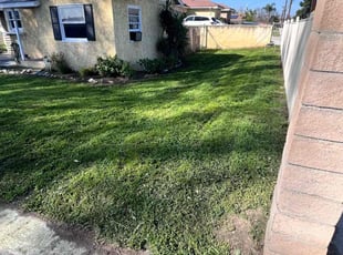 Phyllis M.'s lawn service service result