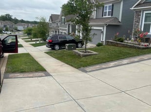 Keith K.'s turf care service result