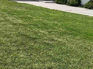 Jim C.'s lawn service service result