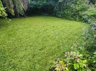 James G.'s turf maintenance service result