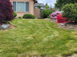 Glorie A.'s lawn maintenance service result