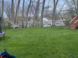 Claire G.'s turf maintenance service result