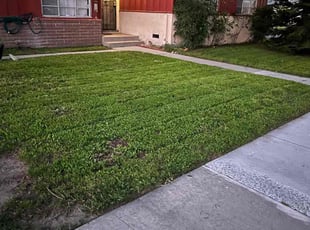 Kristin L.'s turf maintenance service result