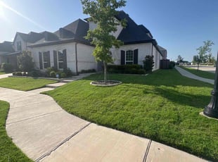 Suzanne R.'s yard care service result