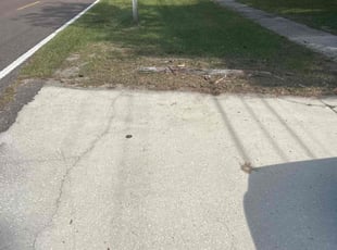 Steve V.'s turf care service result