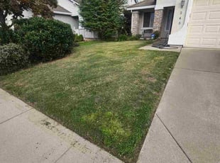 Maria W.'s turf maintenance service result
