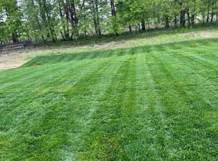 Qiong Z.'s lawn service service result