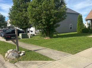 Aiesha S.'s landscape maintenance service result
