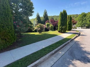 James O.'s lawn care service result