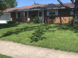 Danielle A.'s grass cutting service result