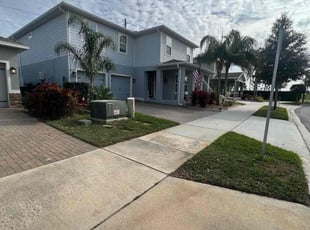 Lisa N.'s turf care service result