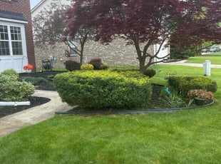 Becky C.'s Bush Trimming service result