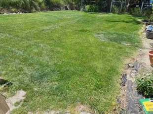 John N.'s lawn care services service result