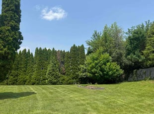 Kathy G.'s lawn maintenance service result