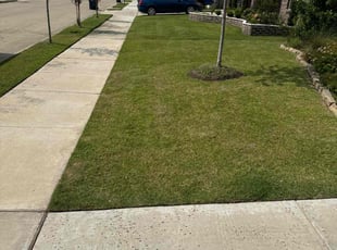 Ellen A.'s lawn care services service result