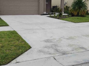 Jenny N.'s turf maintenance service result