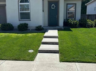 Jerry S.'s lawn care service result