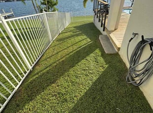 Michelle M.'s lawn maintenance service result