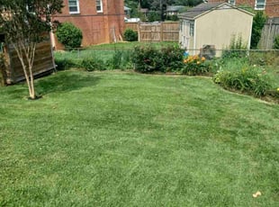 Corseka P.'s lawn maintenance service result