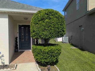 Davon D.'s Bush Trimming service result