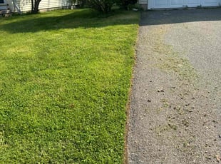 LeBriah S.'s grass maintenance service result