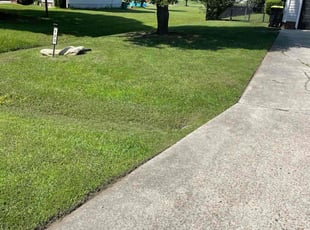Maryanne C.'s lawn care service result