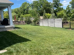 Lynette B.'s lawn maintenance service result