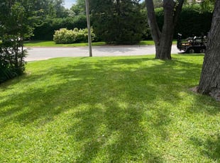 Alauna W.'s lawn care services service result