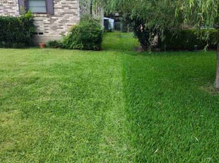 Samuel T.'s lawn care services service result
