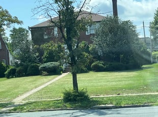 Rolla P.'s Bush Trimming service result