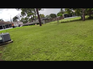 Anisaa H.'s lawn maintenance service result