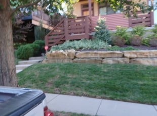 Lori H.'s Bush Trimming service result