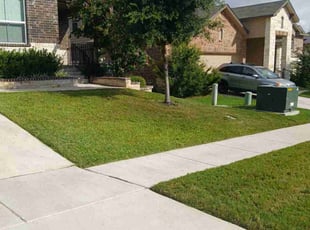Lashaunda S.'s lawn service service result