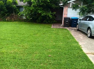 Lisa L.'s lawn care service result