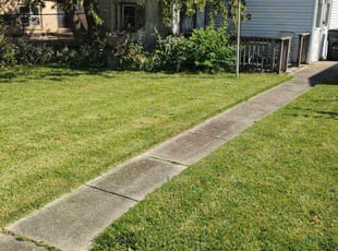 Anna H.'s turf maintenance service result