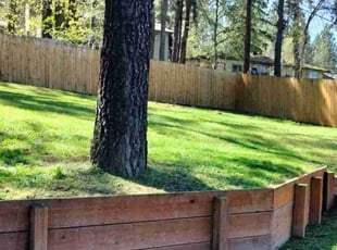 Nancy P.'s grass maintenance service result