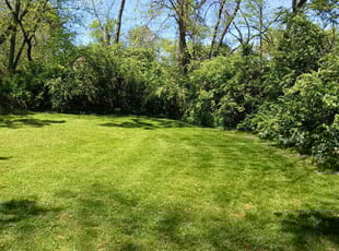 Garry B.'s lawn maintenance service result
