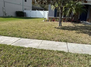 Ileana V.'s turf maintenance service result