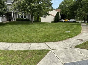 &quot;Brittany M.'s lawn maintenance service result