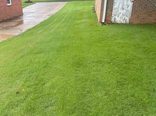 Zackary I.'s lawn maintenance service result